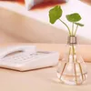Vasen Glühbirnenform transparente Glas Vase Mode Hydroponic Blumenbehältertopf für Home Office Dekoration