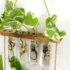 Dekorationen Retro -Testrohr Pflanzer Wandhänge Pflanzen Terrarium mit mehrschichtiger Holzständer Ausbreitung Hydroponische Vase -Hausgartendekoration
