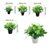Fiori decorativi in plastica senza odore piante bonsai in vaso - Applicazione a basso costo di facile cura manutenzione a basso costo