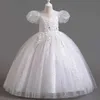 Robes de fille Petites grandes filles manches bouffées brodées à paillettes fleures pour fille d'anniversaire de fête d'anniversaire formel princesse pagenat robe