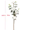 2020 Nouvelles fleurs de coton naturellement séchées plantes artificielles branche florale pour la décoration de fête de mariage fausses fleurs maison artificielle 3659911