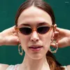 Zonnebrillen Kleine Cat Eye Women Purple White Transparant Leopard Ladies Tiny Sun Glasses Retro Vintage Festival Oculos