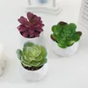 Decorative Flowers Evergreen Artificial Succulent Simulation Plastic Cactus Small Potted Plants Fake Succulents Bonsai Home