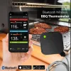 Grills Smart Wireless Bluetooth digitale roestvrijstalen roker grill BBQ vleesvoedsel thermometer met hoge temperatuursonde voor oven