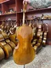 1/2 violoncelle Masé Rich Ton beau grain flammé Maple Back Hand Spirit Varnish