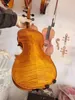 4/4 Modèle de coloration violon