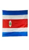 Rica Africa Flag High Quality 3x5 FT National Banner 90x150cm Party Gift 100D Polyester Indoor Outdoor Printed Flags and Banners7350695