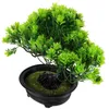 Fleurs décoratives plante en pot artificielle fausses plantes de décoration pour la maison pour petits bonsaïs arbre de bureau