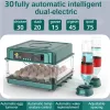 Accessoires 30 Brozerer Eieren Incubator Volledig automatische temp -controller Chicken Goose Quail Auto Turner Equipment Hatchery pluimveetools