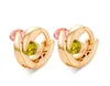 Allergic Real 18K Yellow Gold Plated Colorful CZ Earrings Hoops for Kids Children Girls Women Nice Gift7100044