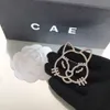 Merkontwerper Nieuwe kat-vormige broche boetiek 925 Gevulde modieus charmant meisje broche hoogwaardige diamant ingelegde broche met doos voor verjaardagsfeestje