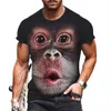 T-shirty męskie zabawne męskie koszulki małp 3D nadrukowane topy modowe krótkie płyty swobodne letnia koszulka dla mężczyzny o nokrecie luźne ubrania T240505