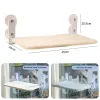 Casas Ventana de gato plegable Ventana de gato inalámbrica con 4 tazas de succión fuertes Camas de gato asiento para gatos interiores en el interior