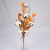 Dekorative Blumen Simulation Baumwollbouquet gefälschte Ohren von Maissträußen künstlicher Zweig PE -Schaum 52cmx15cm Hochzeitshaus El Einrichtungsgegenstände