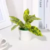 Dekorative Blumen Künstliche Pflanzen Bonsai Simulation lebensechte grünes Gründung Faux Grass Party Supplies POFORY PROPS Desktop Orament
