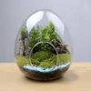 Vases High Quality Glass Bottles Creative Succulent Vase Egg-shaped Terrarium Micro Landscape Hydroponic