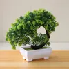 Декоративные цветы искусственное дерево бонсай для домашнего офиса мини -гостеприимное моделирование сосны растения