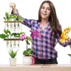 Dekorationen Retro -Testrohr Pflanzer Wandhänge Pflanzen Terrarium mit mehrschichtiger Holzständer Ausbreitung Hydroponische Vase -Hausgartendekoration