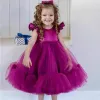 Kleider Baby Girls Geburtstagskleid für 0 1 2 Jahre Neugeborene Taufe Blau rosa weiße Kleidung Kleinkind Kid Elegant Taufen Party Tutu Kleid