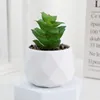 Decorative Flowers Evergreen Artificial Succulent Simulation Plastic Cactus Small Potted Plants Fake Succulents Bonsai Home
