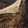 Subliti HighJump Nature Maple Leaf Cimeflage Rete 300D in tessuto in tessuto in tessuto in tessuto in tessuto da sole Outdoor Cover di decorazione Camonet Camonet