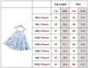 Riemen jurk meisje kleding kinderen outfit aardbeien prinses bruiloft kostuum zomer verjaardagsfeestje baby a1113 240428