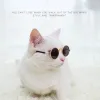 Häuser Vintage Runde Haustier Brillen, Brille für kleine reflektierende Katzen, Hunde- und Katzenfoto -Requisitenzubehör