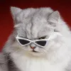 Odzież Personalizowanie okularów przeciwsłonecznych Sphynx Akcesoria dla kotów szczeniaki Kittle Goggle WindProof okulary zwierzak