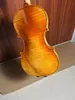 Master 4/4 violon Clear Flamed Grain Natural Acoustic Quality Spruce Maple