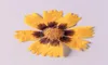 Flores decorativas coronas de flores secas coreopsis basalis bricolaje de goteo gastado de goteo prensado jabon