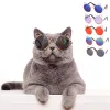 Case 1pcs occhiali da gatto da pet per cani Prodotto per animali domestici per occhiali da sole per occhiali da sole per gatti