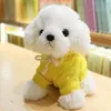 Wholesale simulation of teddy dog plush toys, puppies, cloth dolls, hoodies, dog dolls, gifts, customized logos, small dolls