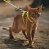 Drifs Antibreakfree Cat Harness Adjustable Cat Harnness and Lash Set Car Accessoires Cat Walking Cat Cat Supplies Sortante Cat Leads