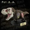 Другие игрушки животного райского тела Tyrannosaurus rex Model Model Museum Museum Limited фигуры T-Rex Collector Collector Collector Reality Toy Giftsl240502