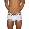 Underpants 1/2pcs Men Boxer Shorts Mutandine Kit di biancheria da biancheria di cotone Slip sexy sport soft sports da uomo di lingerie