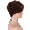 Parrucche per capelli umani ricci afro corti per donne nere brasiliane virgin parrucche ricci corte nessuna pizzo in pizzo 150% densità non trasformata parrucca afro capelli ricci