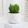 Decorative Flowers Evergreen Artificial Succulent Simulation Plastic Cactus Small Potted Plants Fake Succulents Bonsai Home