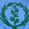 Banner Flags Custom Flag 90*150cm Eritre'nin Tarihsel Bayrağı 1952-1962) Ev bayrağı afiş için Noel dekorasyonları