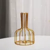 花瓶クリエイティブフラワードライコンテナシンプルホローアイアン花瓶透明な偽のシミュレートされた小さなフォロワーボトル