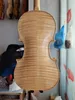 4/4 violon à l'éclair à fond en arrière 100 ans