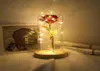 A beleza LED rosa e a besta bateria alimentada por corda de flores leves lâmpada de mesa de luz romântica