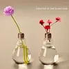 Vasen Glühbirnenform transparente Glas Vase Mode Hydroponic Blumenbehältertopf für Home Office Dekoration