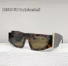 Las gafas de sol más nuevas del diseñador de marco de marco Radiación Personalidad Retro Gafas Retro Calidad Preminum