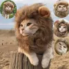 家のかわいいライオンのたてがみ猫のかつら帽子犬と猫小型犬のペット猫の装飾アクセサリーライオンファンシーヘアキャップペット用品
