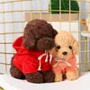 Wholesale simulation of teddy dog plush toys, puppies, cloth dolls, hoodies, dog dolls, gifts, customized logos, small dolls