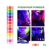 Lidschatten Neon Party Pulver 12 Farben in 1 set leuchtend Lidschatten Nagel Glitzer Pigment Fluoreszenz Maniküre Nägel Kunst Drop -Lieferung H Dhqu5