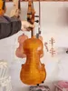 4/4 Modèle de coloration violon