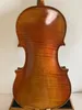Master 4/4 Violin Stradi Model 1PC Famed Maple Back Spruce Top Hand Made K3648