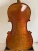 Master 4/4 Violin Stradi Modello 1pc Mapero Flace Back Abete Top Hand Made K3648