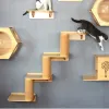 Accessori Cat Sisal Scratcher Post Arrampicamento dell'albero per gatto mobili a muro mobili gatto arrampicata da parete tavola da parete giocattolo parete gatto nido HW167
